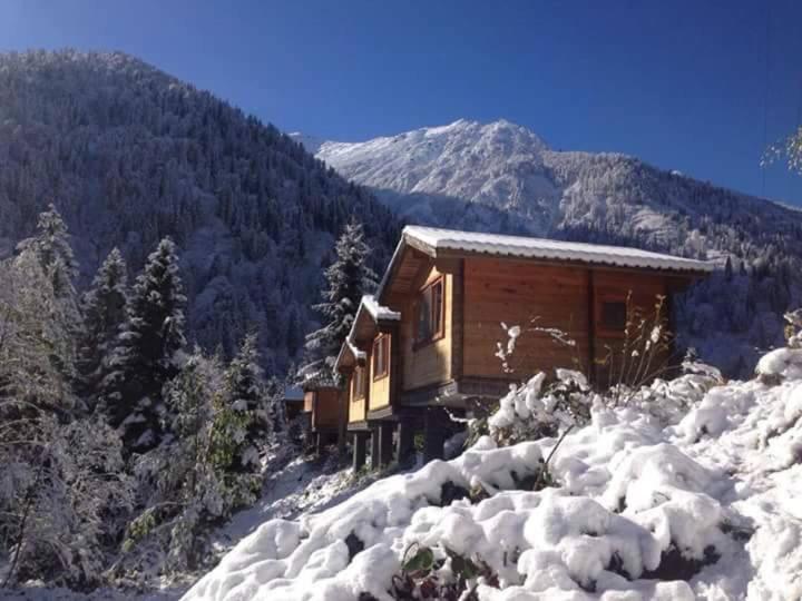 Kardelen Bungalov Evleri̇ Ayder Yaylasi Exterior photo