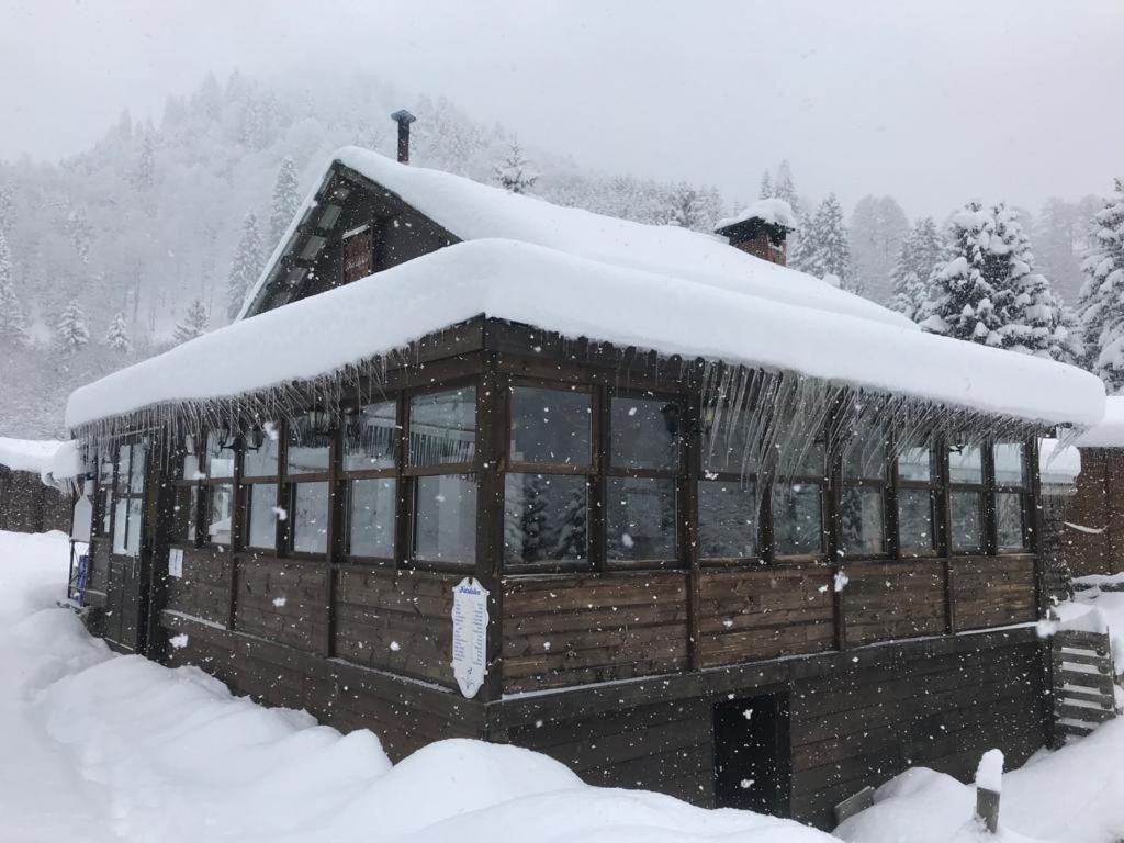 Kardelen Bungalov Evleri̇ Ayder Yaylasi Exterior photo