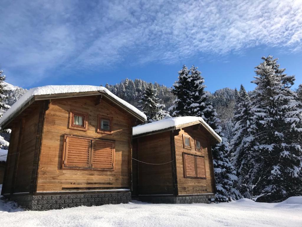 Kardelen Bungalov Evleri̇ Ayder Yaylasi Exterior photo
