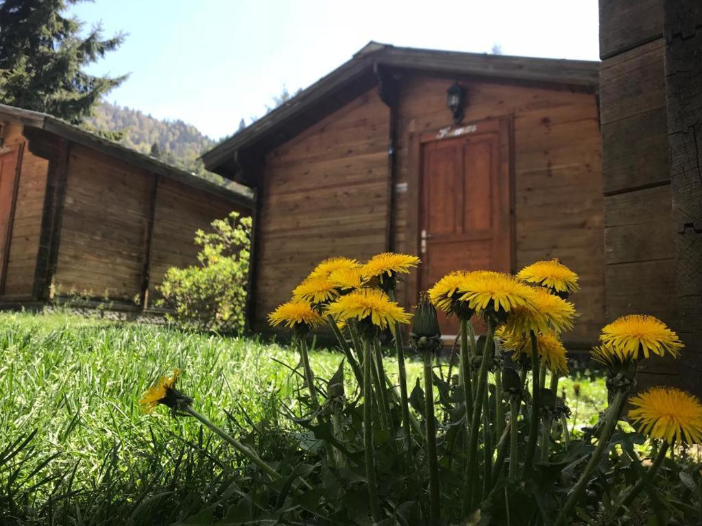 Kardelen Bungalov Evleri̇ Ayder Yaylasi Exterior photo