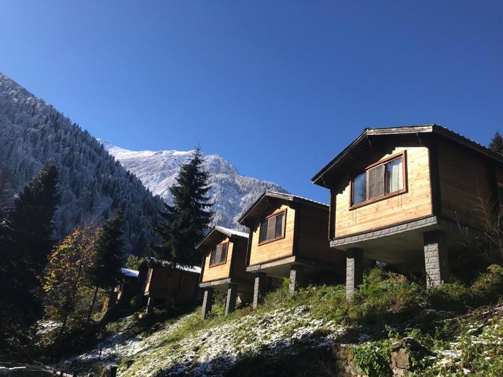 Kardelen Bungalov Evleri̇ Ayder Yaylasi Exterior photo