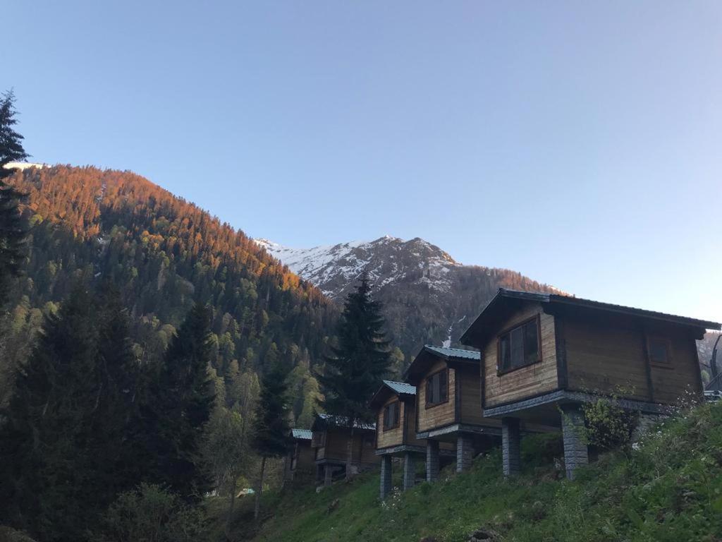Kardelen Bungalov Evleri̇ Ayder Yaylasi Exterior photo